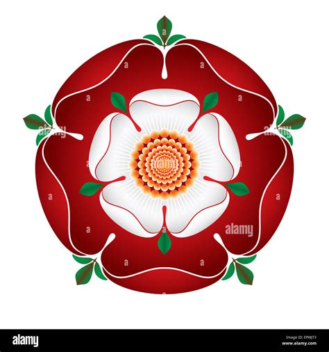 red tudor rose|pictures of the tudor rose.